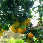 Σπίτι διακοπών Casa Visioneros Lapalma Tijarafe